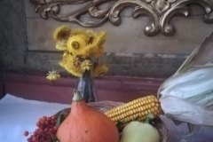 IMG_20230917_184249
