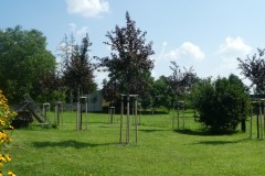 P1000590