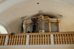 IMG20230508095329