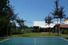 P1000564