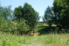 P1000572